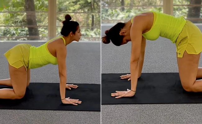 Malaika Arora yoga positions