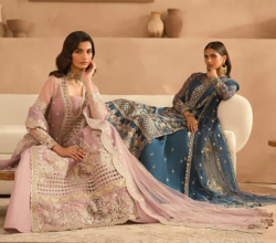 Pakistani Ready to Wear Dresses