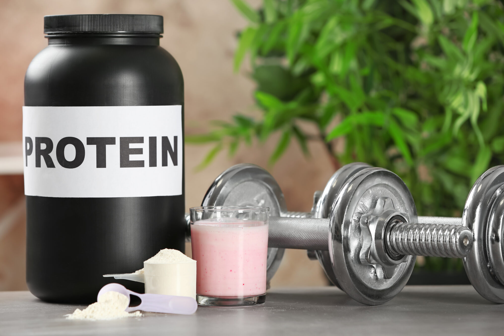 Key Differences Between Whey and Plant Protein
