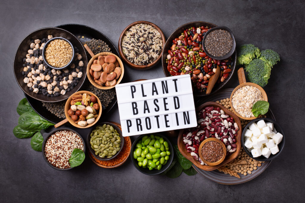 Benefits of Plant Protein